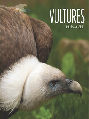 cover image of Vultures